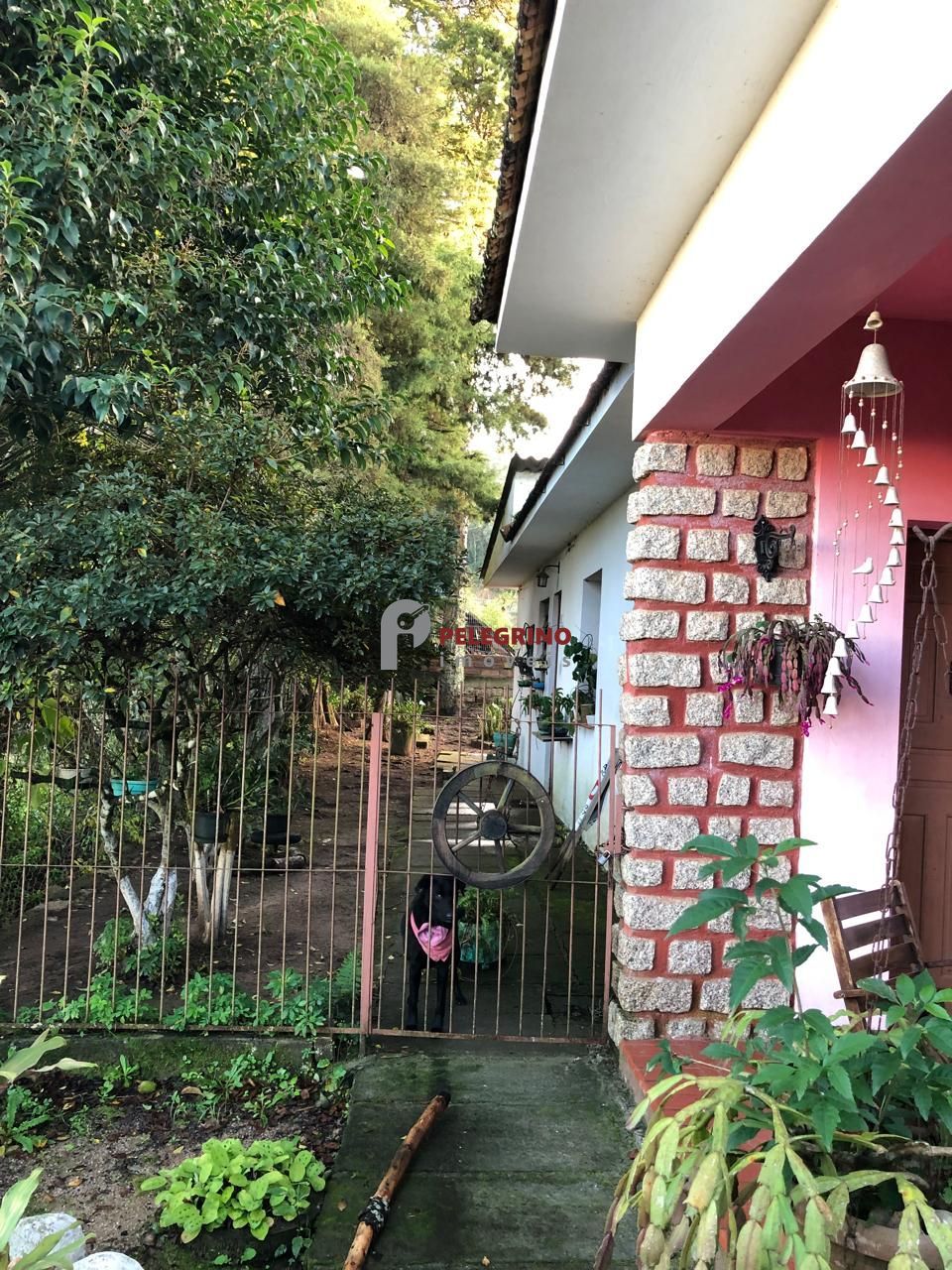 Pelegrino imóveis vende casa em sertão santana