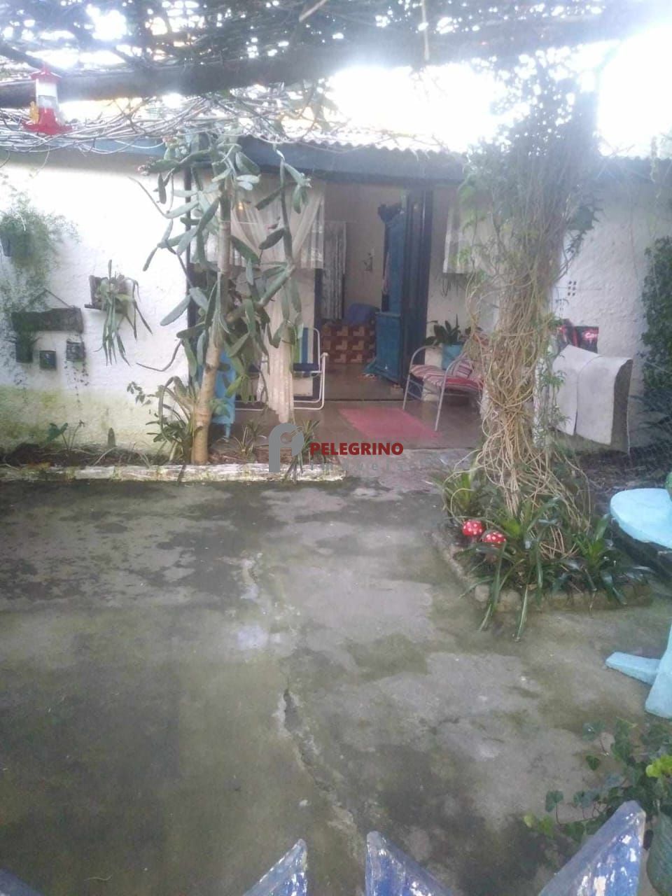 Pelegrino Imóveis vende sítio em Tapes