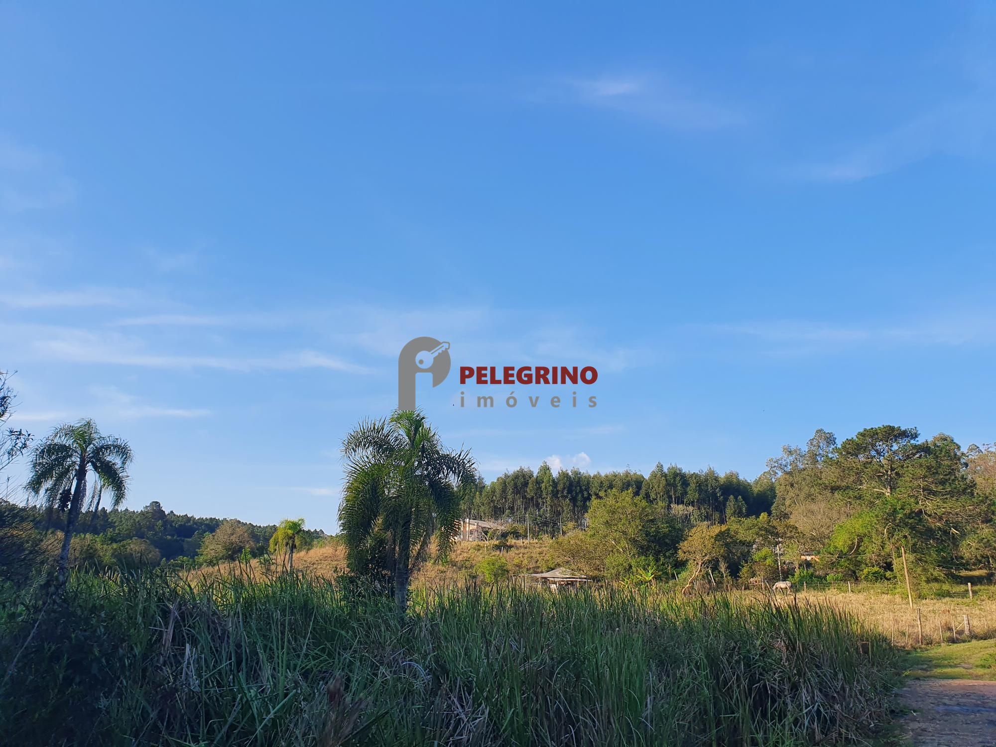 Pelegrino Imóveis vende chacára na BR 116