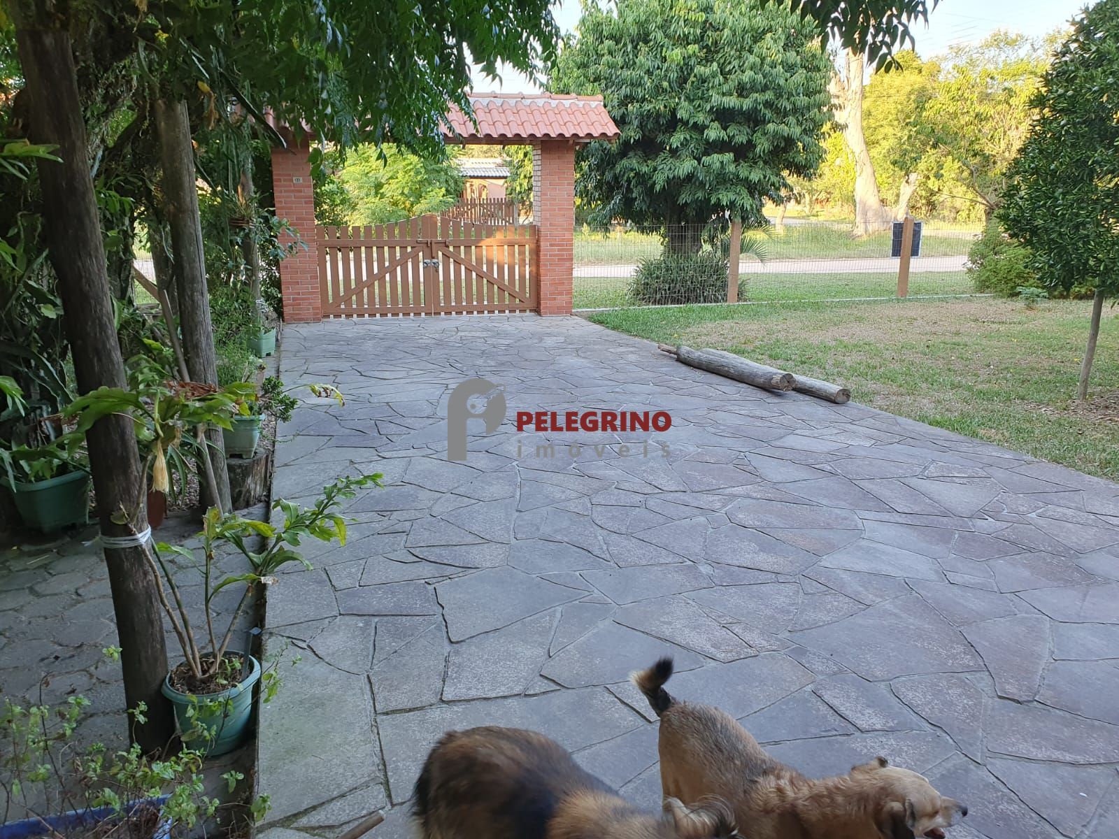 Pelegrino Imóveis vende casa na Pinvest em Tapes