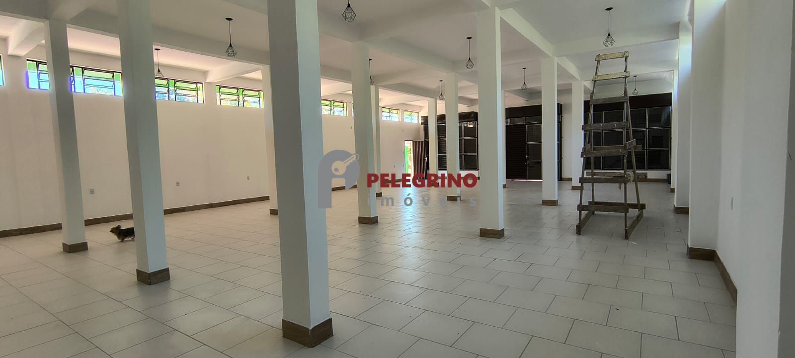 Pelegrino imóveis aluga prédio comercial no bairro pinvest - foto 7