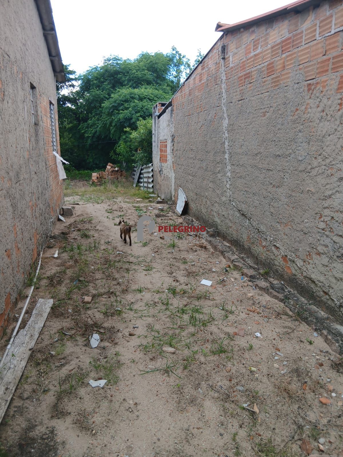 Pelegrino imóveis vende casa na cidade de arambaré
