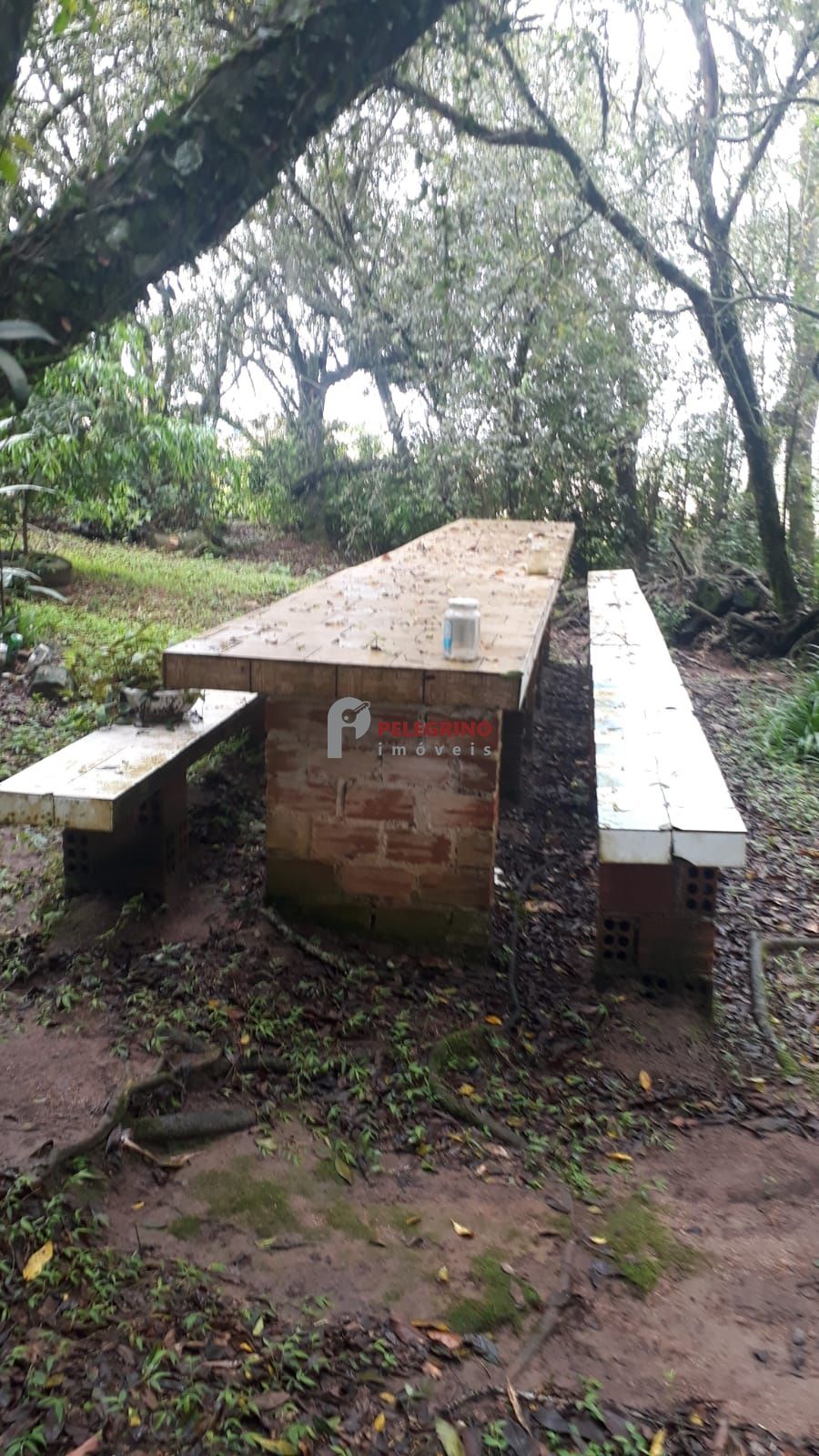 Pelegrino imóveis vende propriedade em sentinela