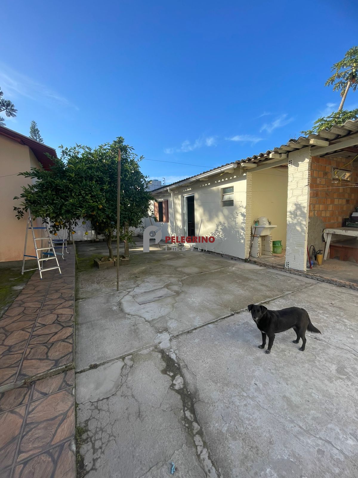 Pelegrino Imóveis vende casa no centro de Tapes