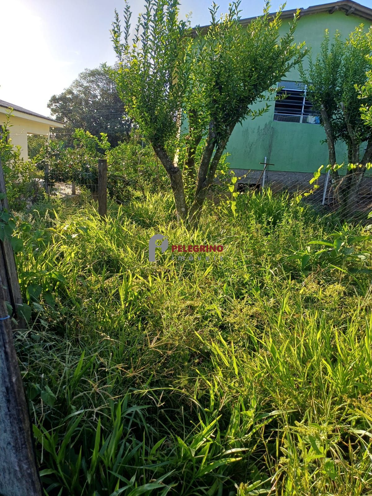 Pelegrino Imóveis vende casa na esquina de Tapes