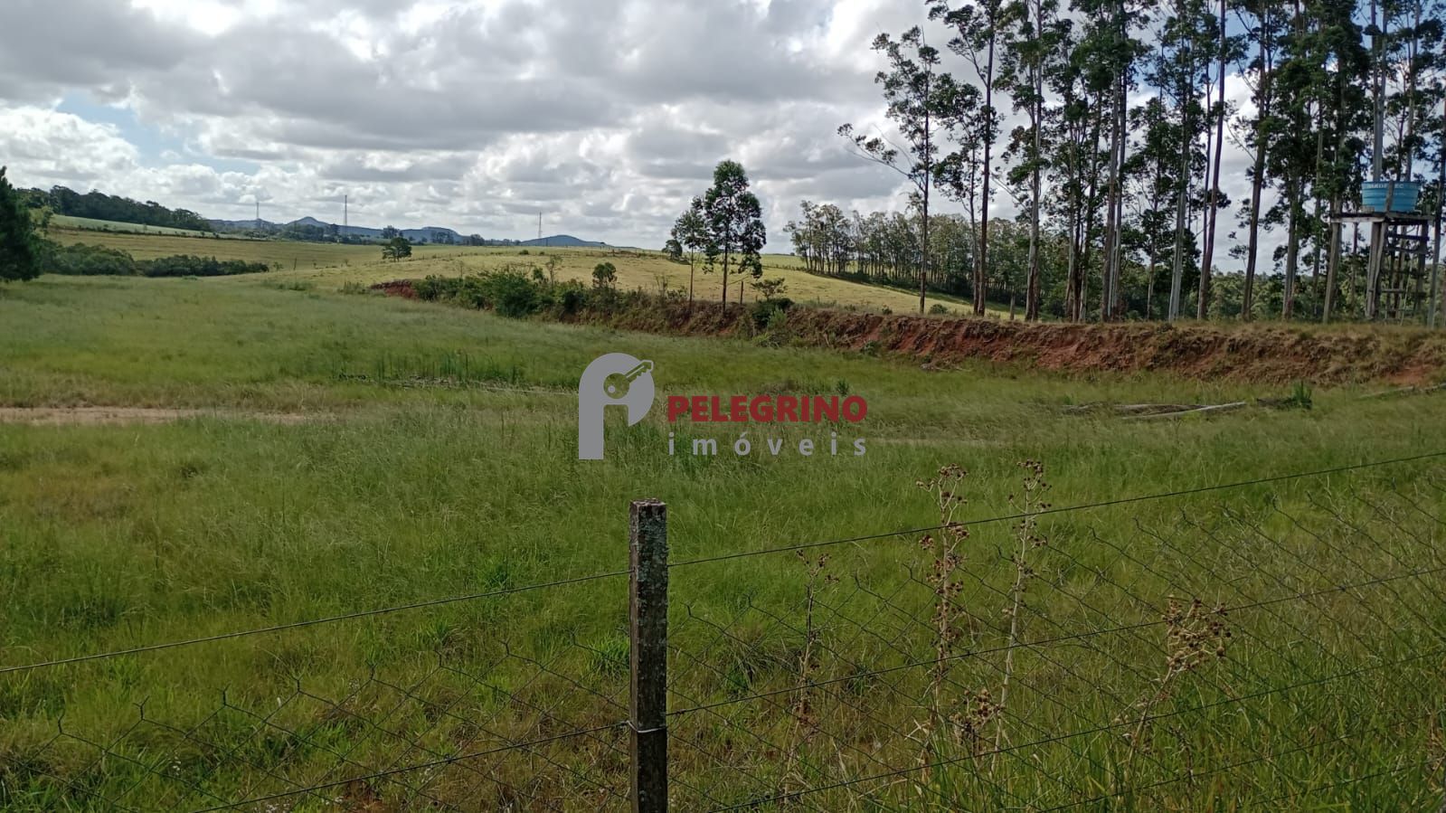 Pelegrino Imóveis vende chácara em Tapes