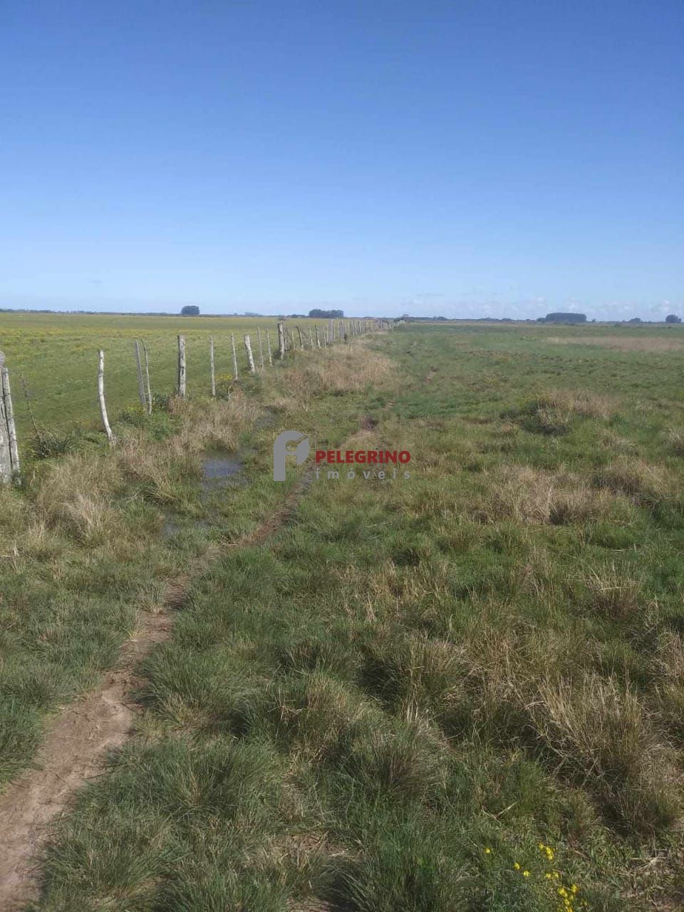 Pelegrino imóveis vende sítio em tapes - foto 3