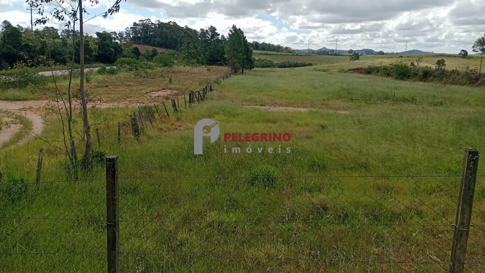 Pelegrino Imóveis vende chácara em Tapes