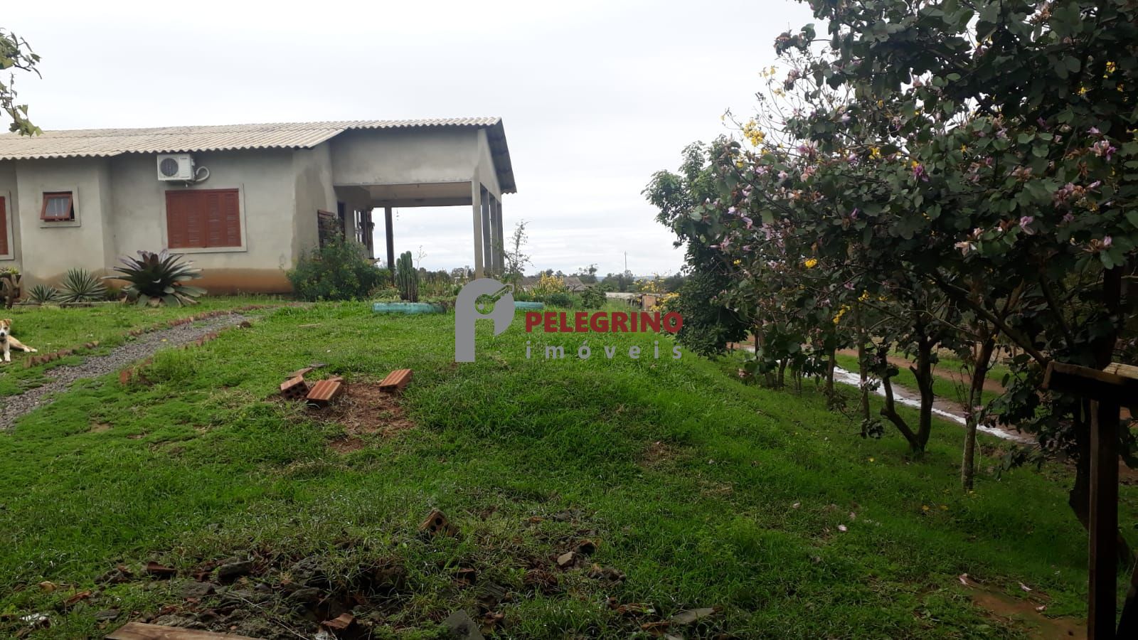 Pelegrino imóveis vende propriedade em sentinela