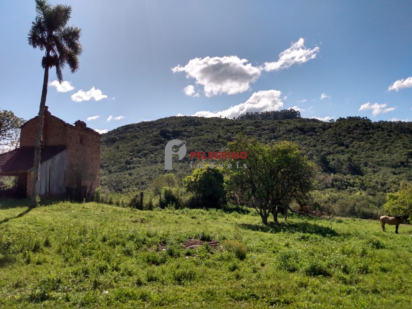 Vende sítio de 90,5948 hectares a 6km do centro de cerro gra