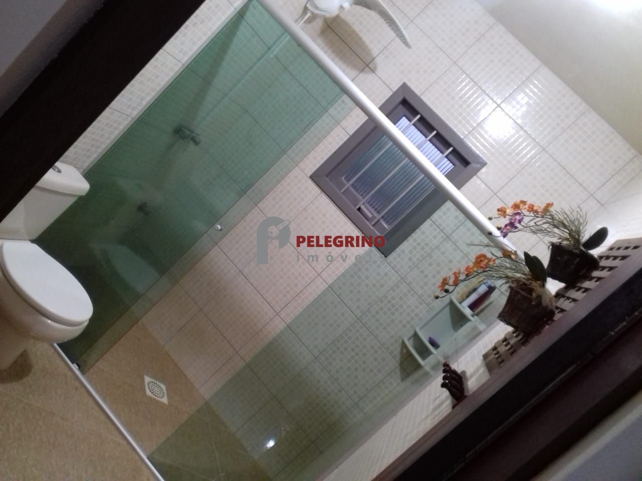 Pelegrino imóveis vende chácara em sentinela do sul