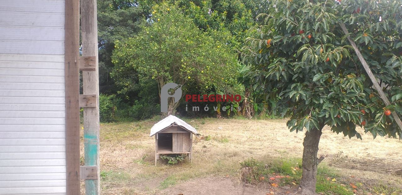 Pelegrino Imóveis vende casa com dois terrenos na General Osório