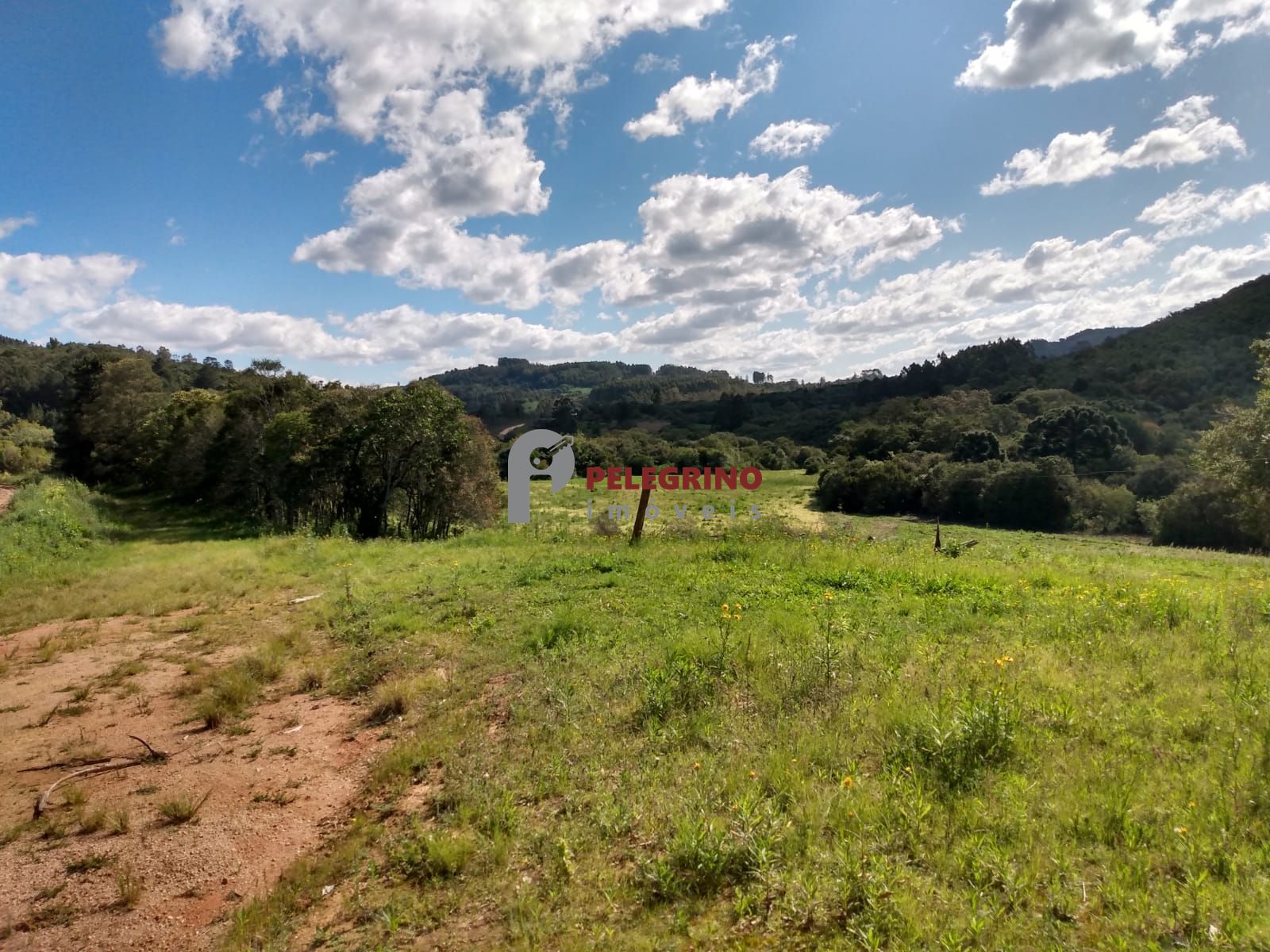 Vende sítio de 90,5948 hectares a 6km do centro de cerro gra