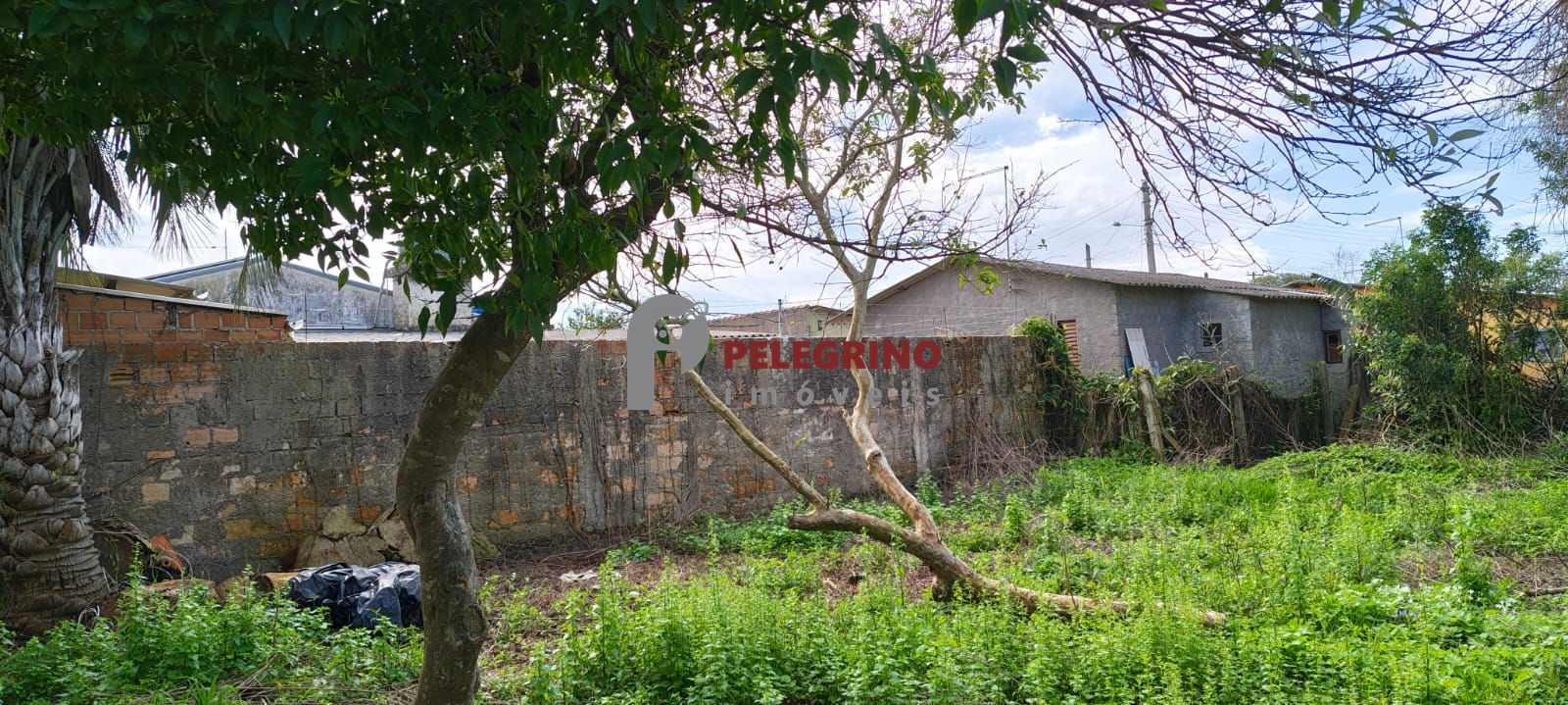 Pelegrino imóveis vende lote no centro em tapes - foto 8
