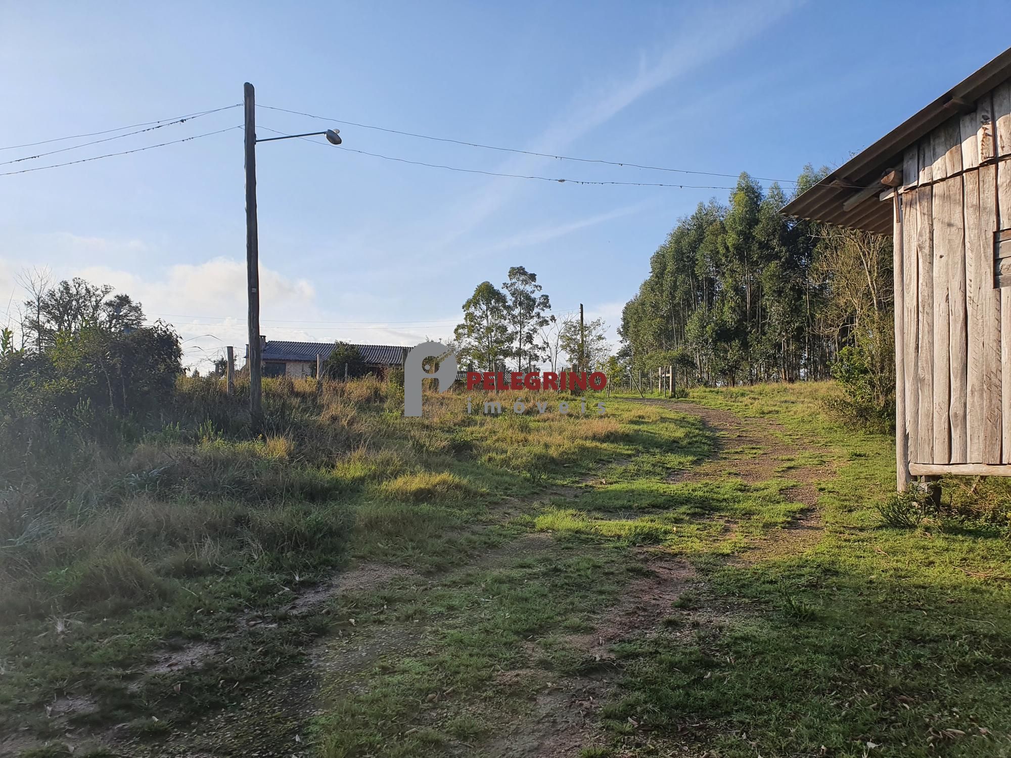 Pelegrino Imóveis vende chacára na BR 116