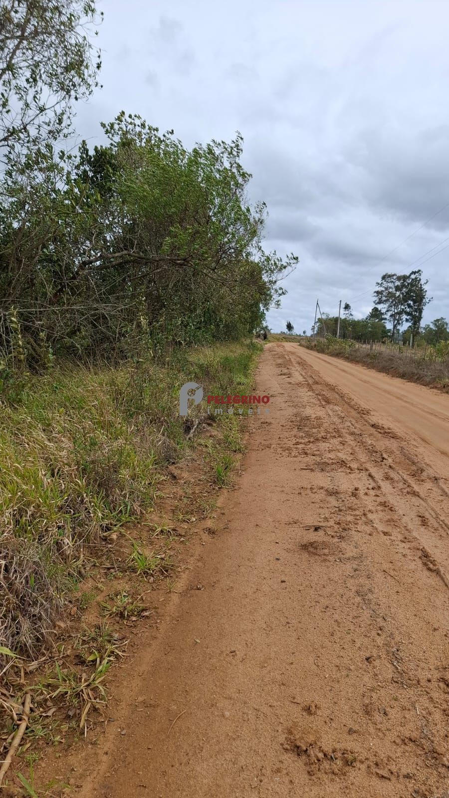 Chácara 2 dormitórios à venda zona rural tapes/rs