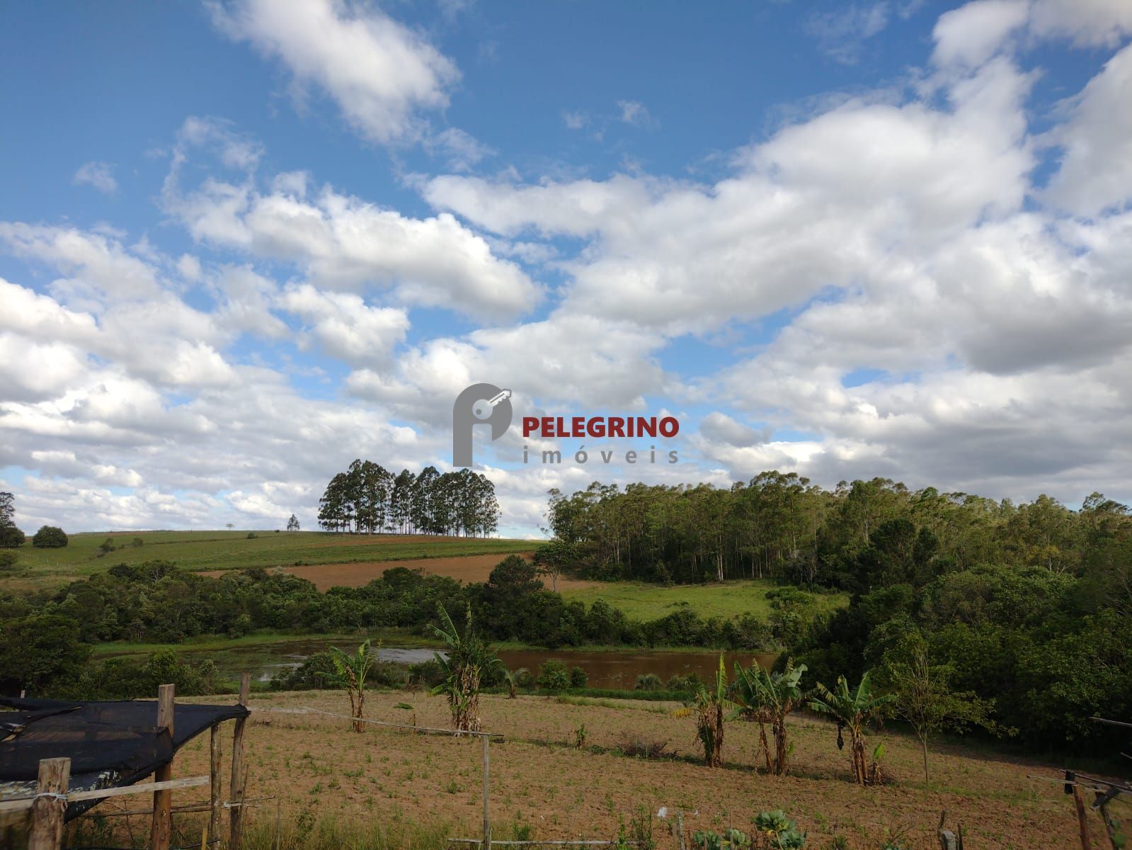 Pelegrino imóveis vende pequena propriedade rural com belíss