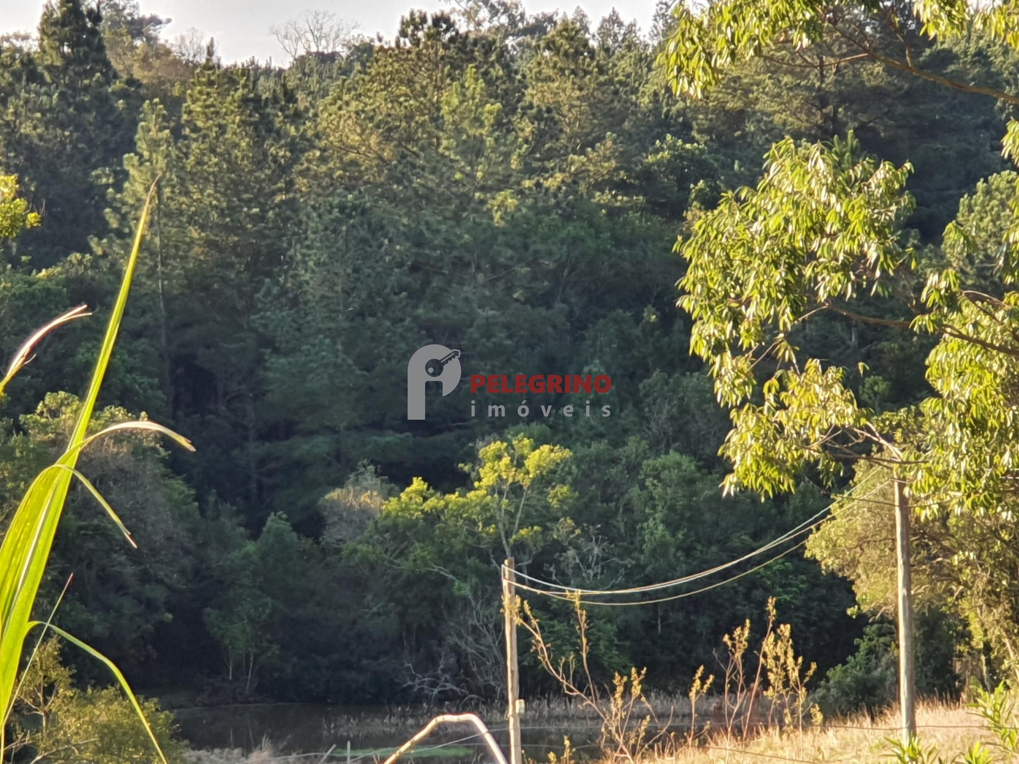 Pelegrino Imóveis vende chacára na BR 116