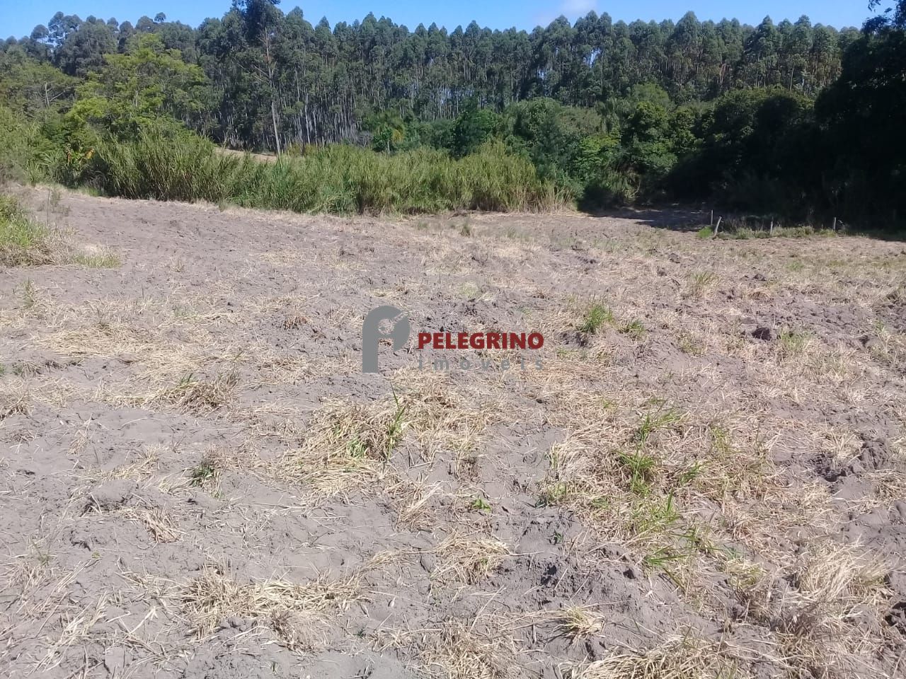 Pelegrino imóveis vende propriedade em sentinela do sul