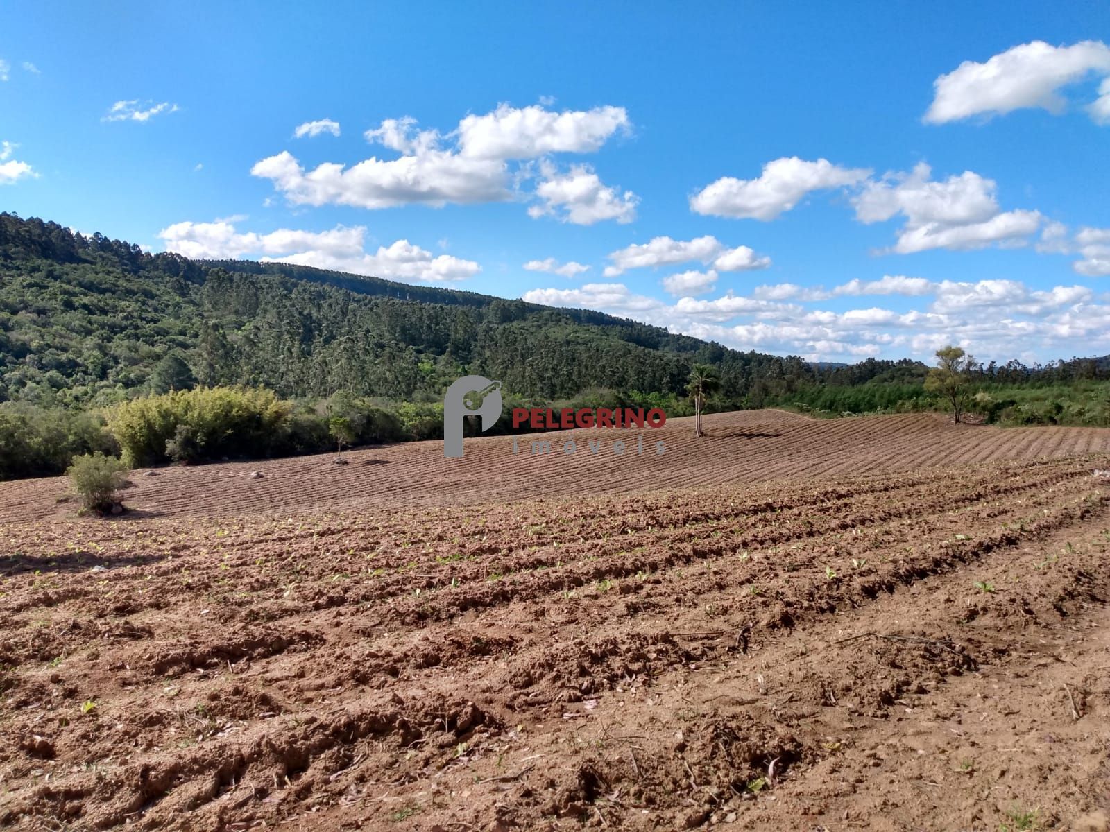 Vende sítio de 90,5948 hectares a 6km do centro de cerro gra