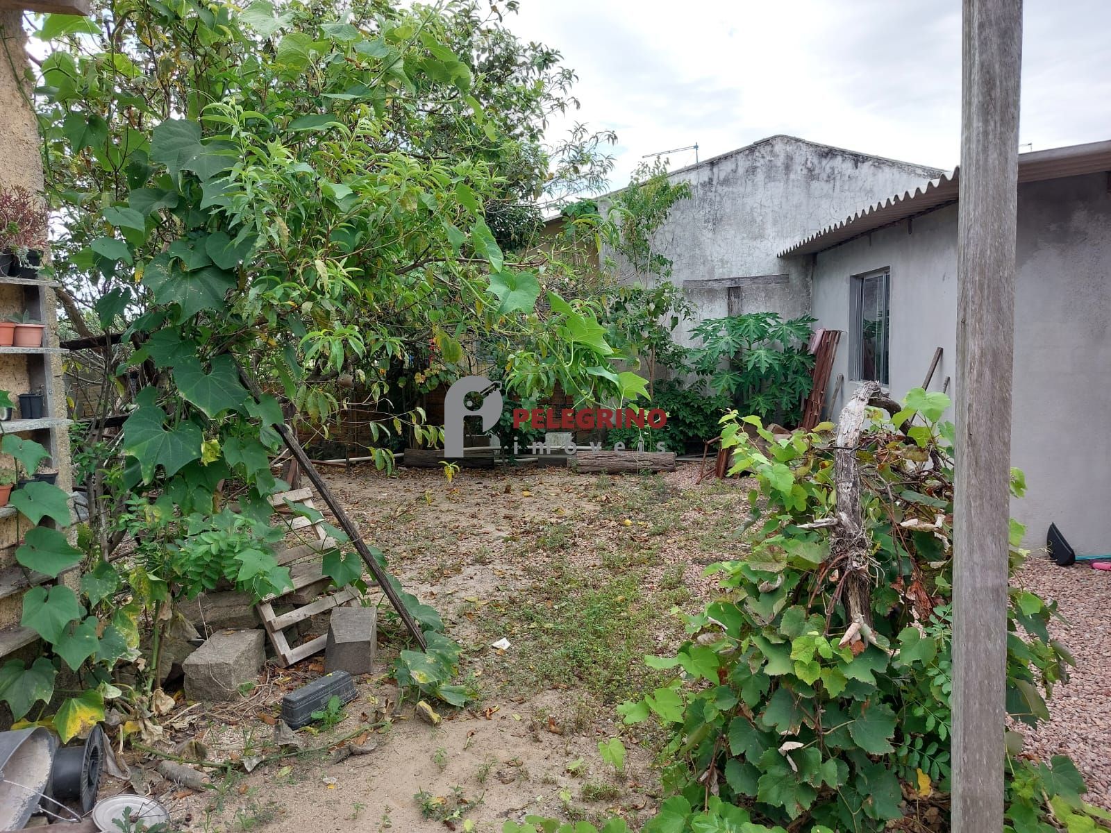 Pelegrino Imóveis vende casa no Balneário Rebello em Tapes