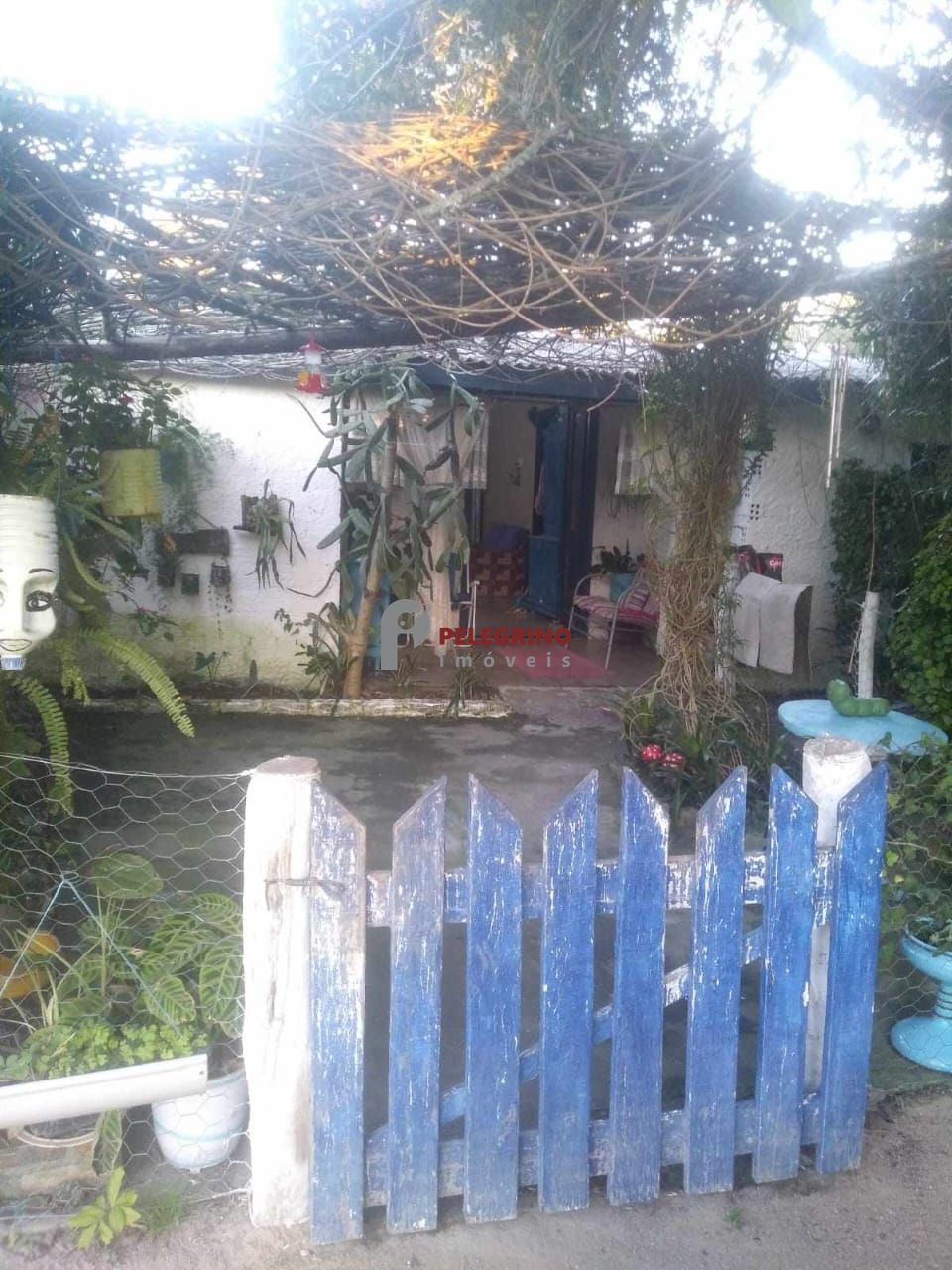 Pelegrino Imóveis vende sítio em Tapes