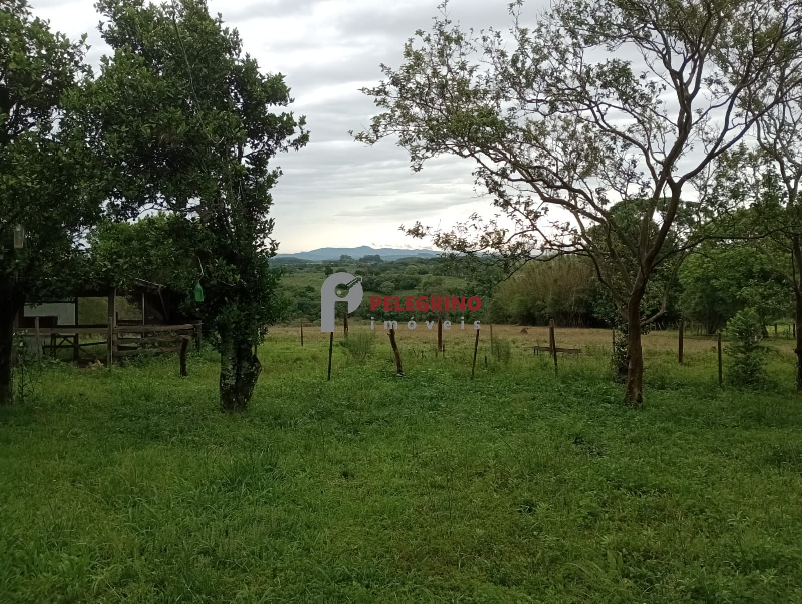 Pelegrino imóveis vende sitio em sentinela do sul