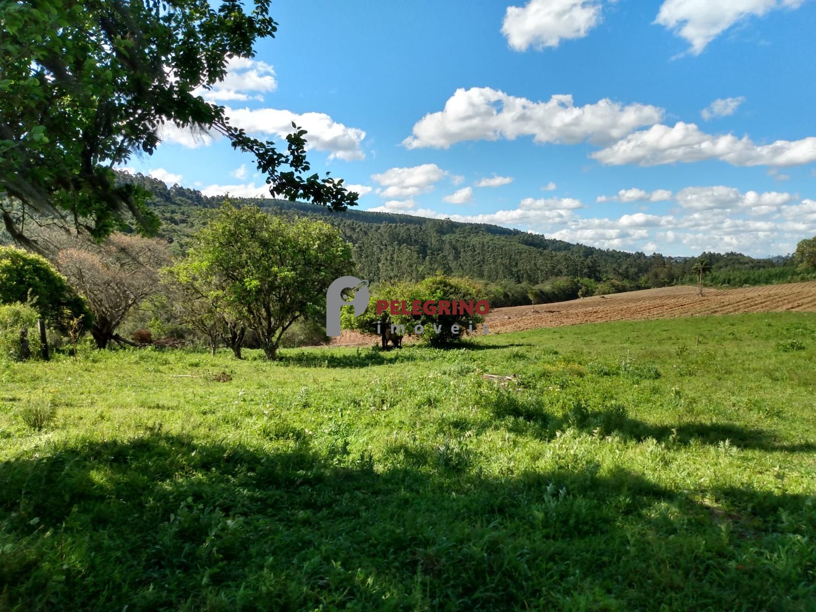 Vende Sítio de 90,5948 Hectares a 6km do centro de Cerro Grande do Sul