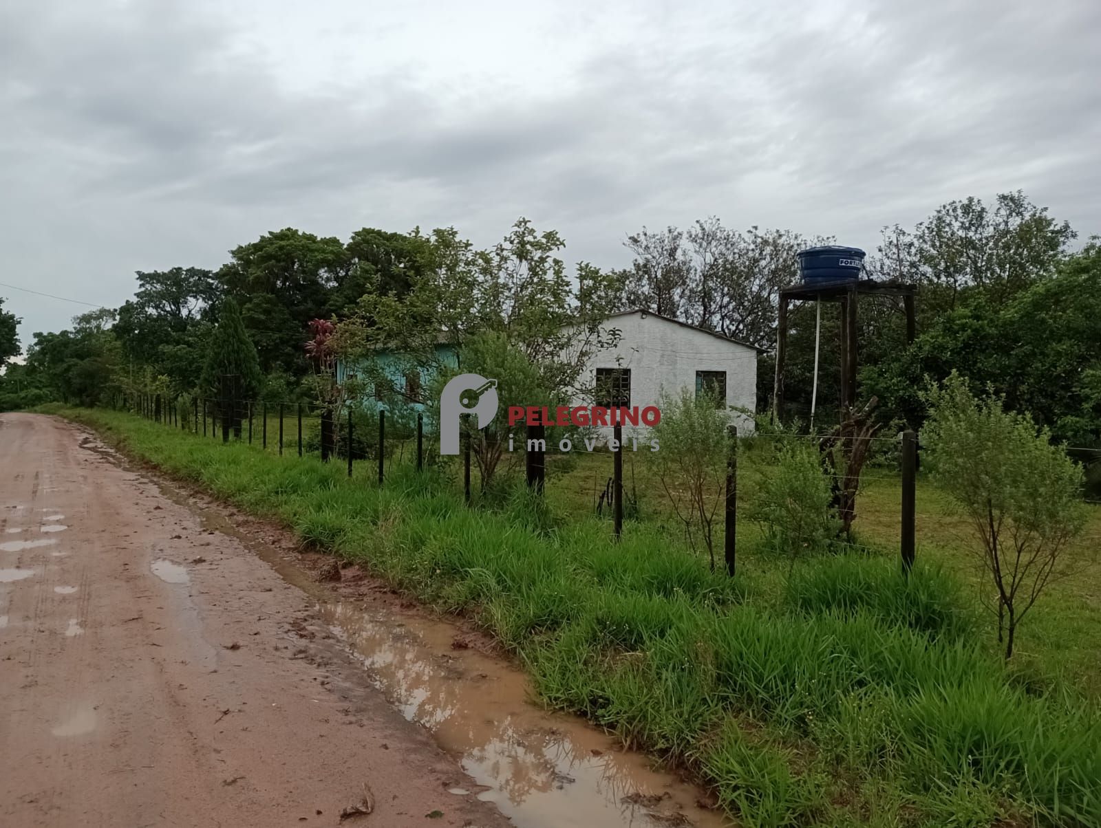 Pelegrino imóveis vende sitio em sentinela do sul