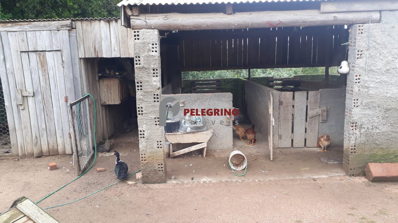 Pelegrino imóveis vende propriedade em sentinela