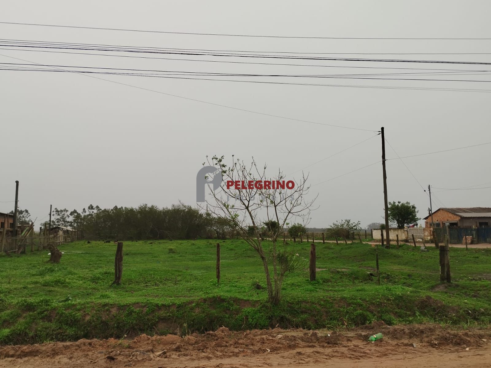 Pelegrino imóveis vende terreno rural em tapes