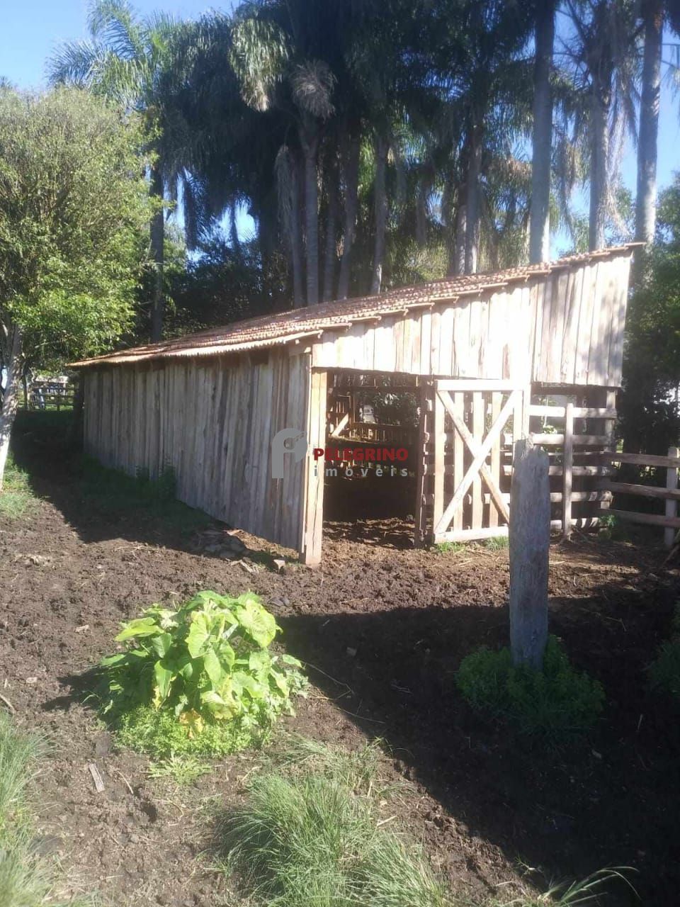 Pelegrino imóveis vende sítio em tapes - foto 8