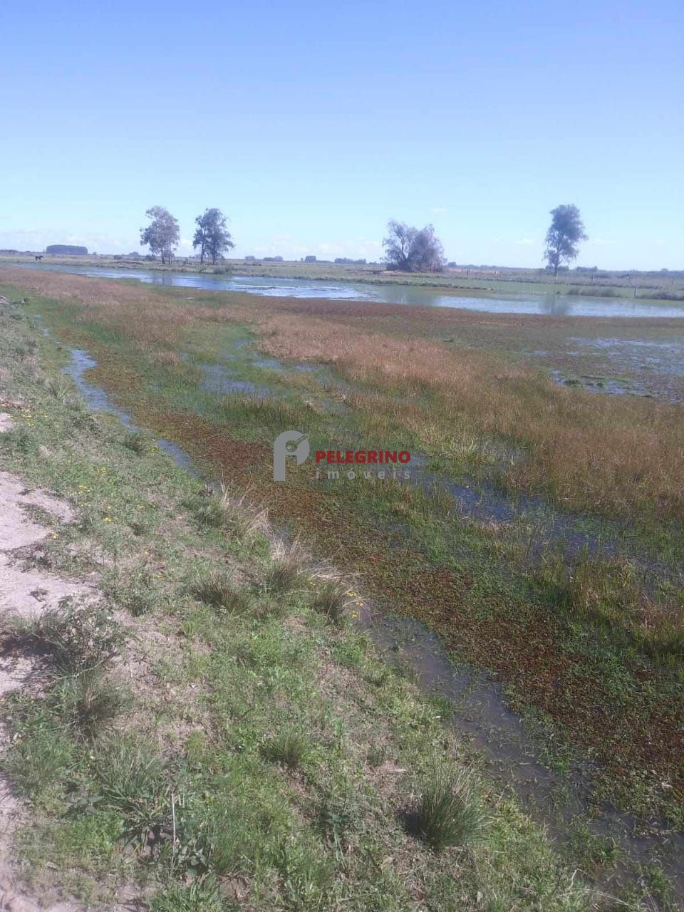 Pelegrino imóveis vende sítio em tapes - foto 5