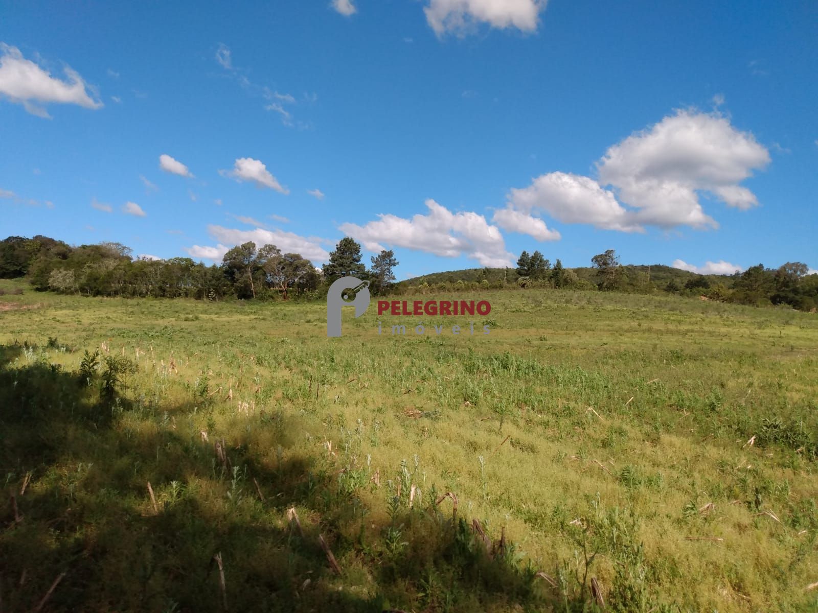 Vende sítio de 90,5948 hectares a 6km do centro de cerro gra