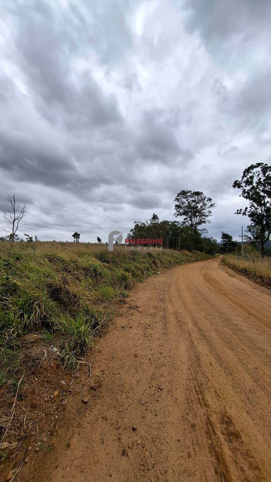 Chácara 2 dormitórios à venda zona rural tapes/rs