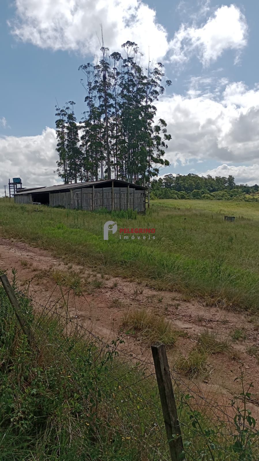 Pelegrino Imóveis vende chácara em Tapes