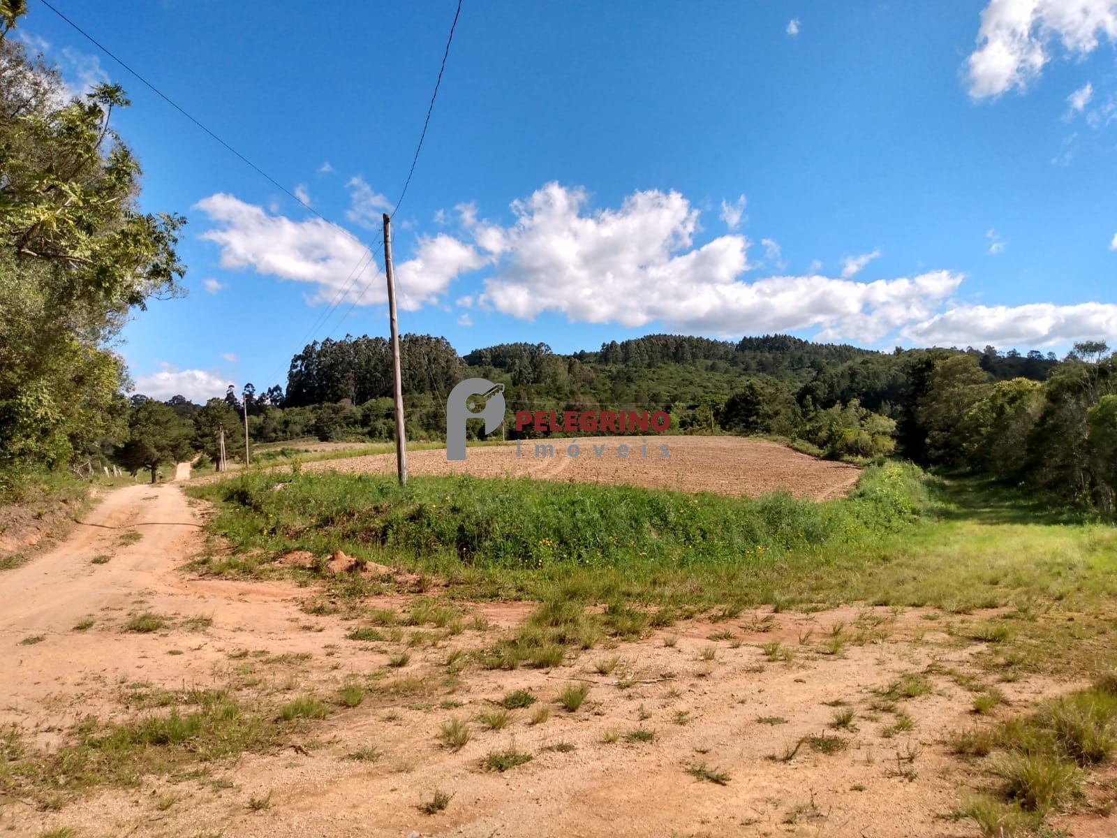 Vende sítio de 90,5948 hectares a 6km do centro de cerro gra