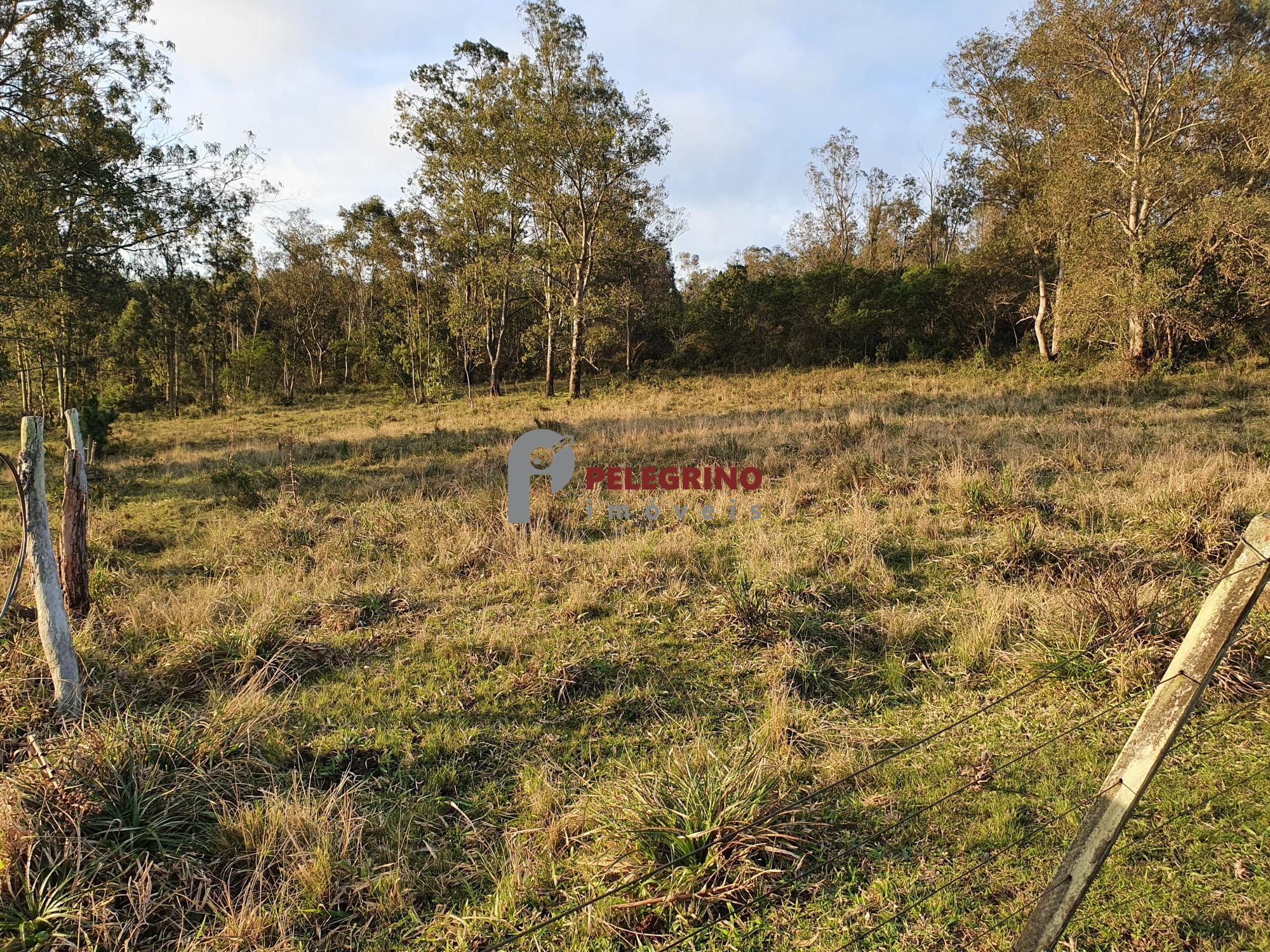 Pelegrino imóveis vende chacára na br 116