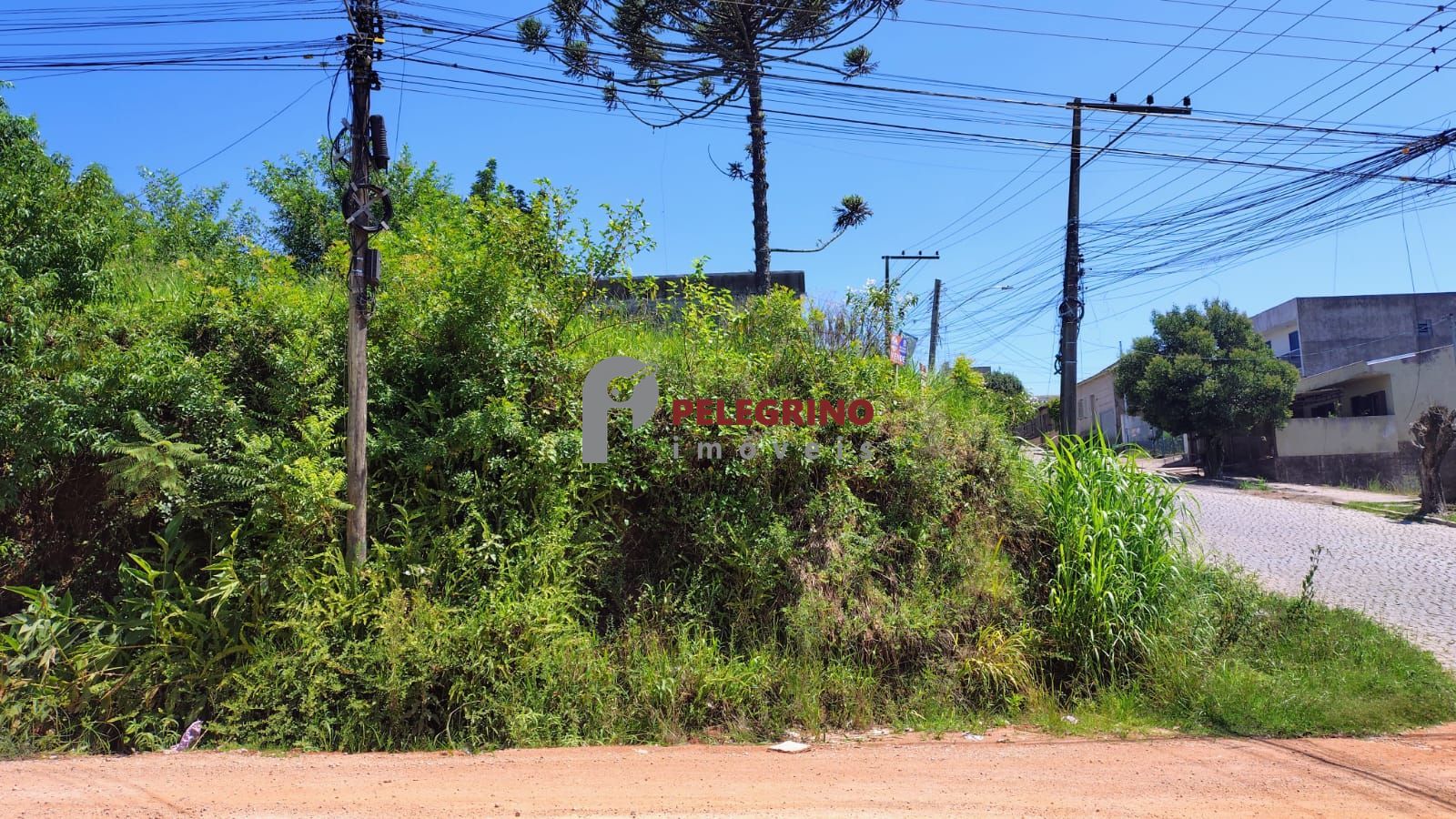 Pelegrino imóveis vende terreno em camaquã