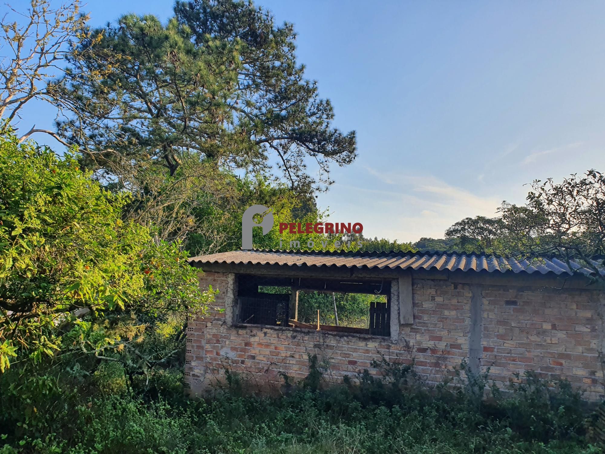 Pelegrino Imóveis vende chacára na BR 116