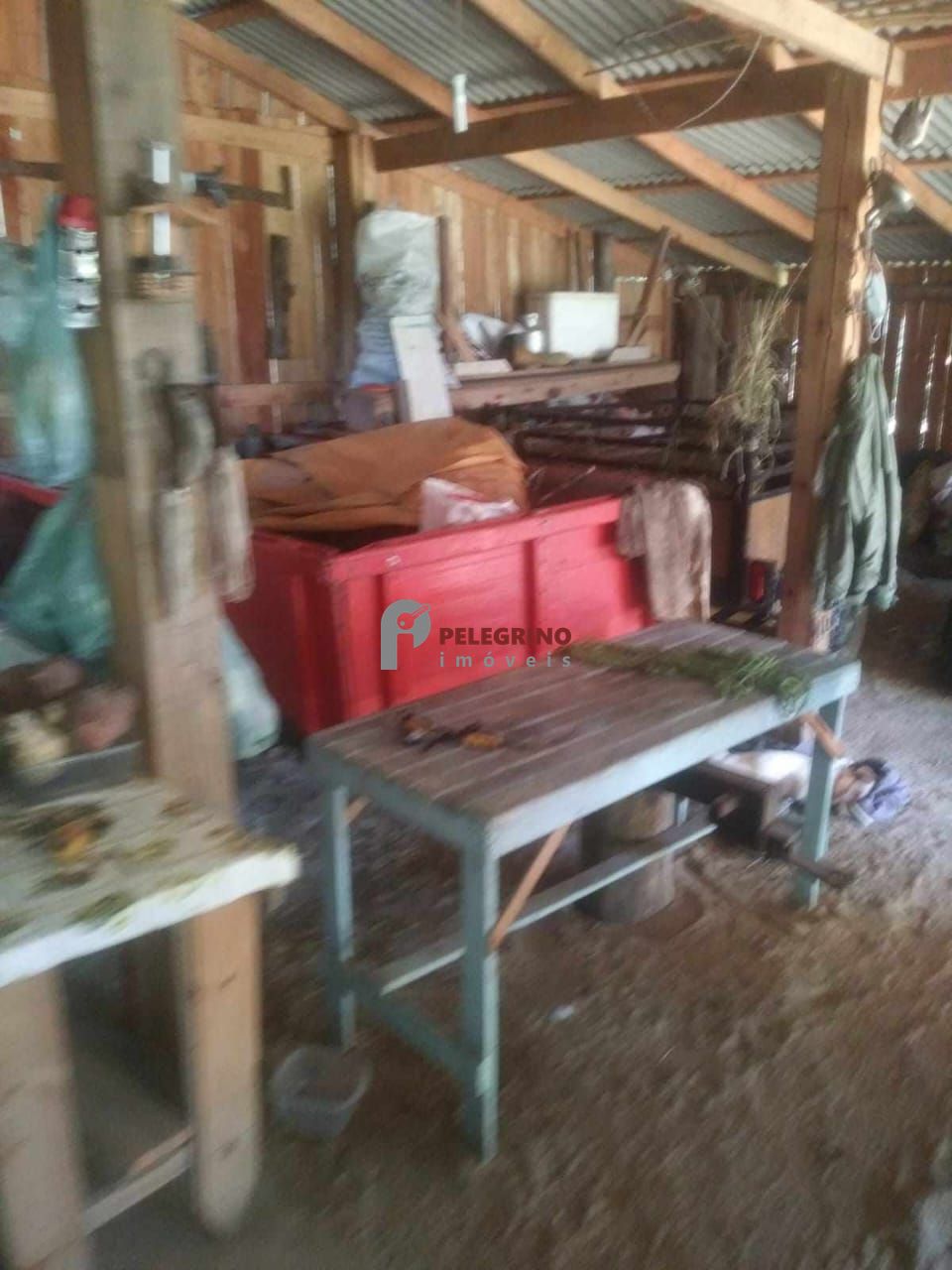 Pelegrino imóveis vende sítio em tapes - foto 13
