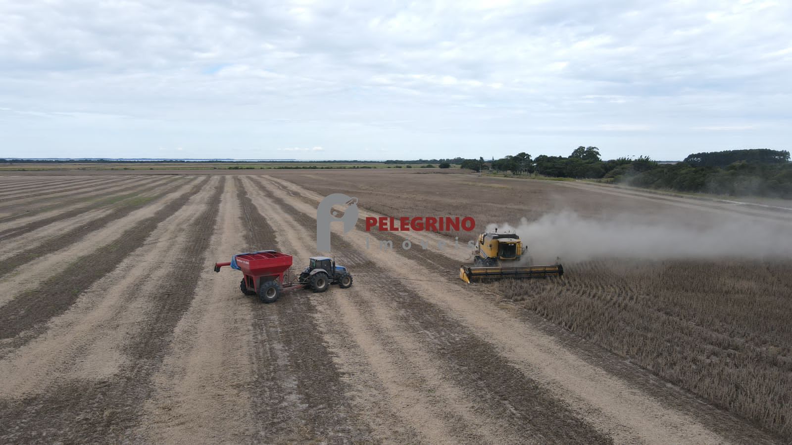 Pelegrino imóveis vende chácara em tapes - foto 3