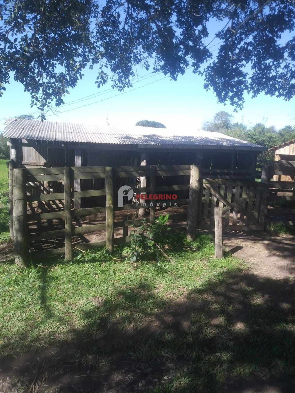 Pelegrino imóveis vende sítio em tapes - foto 10