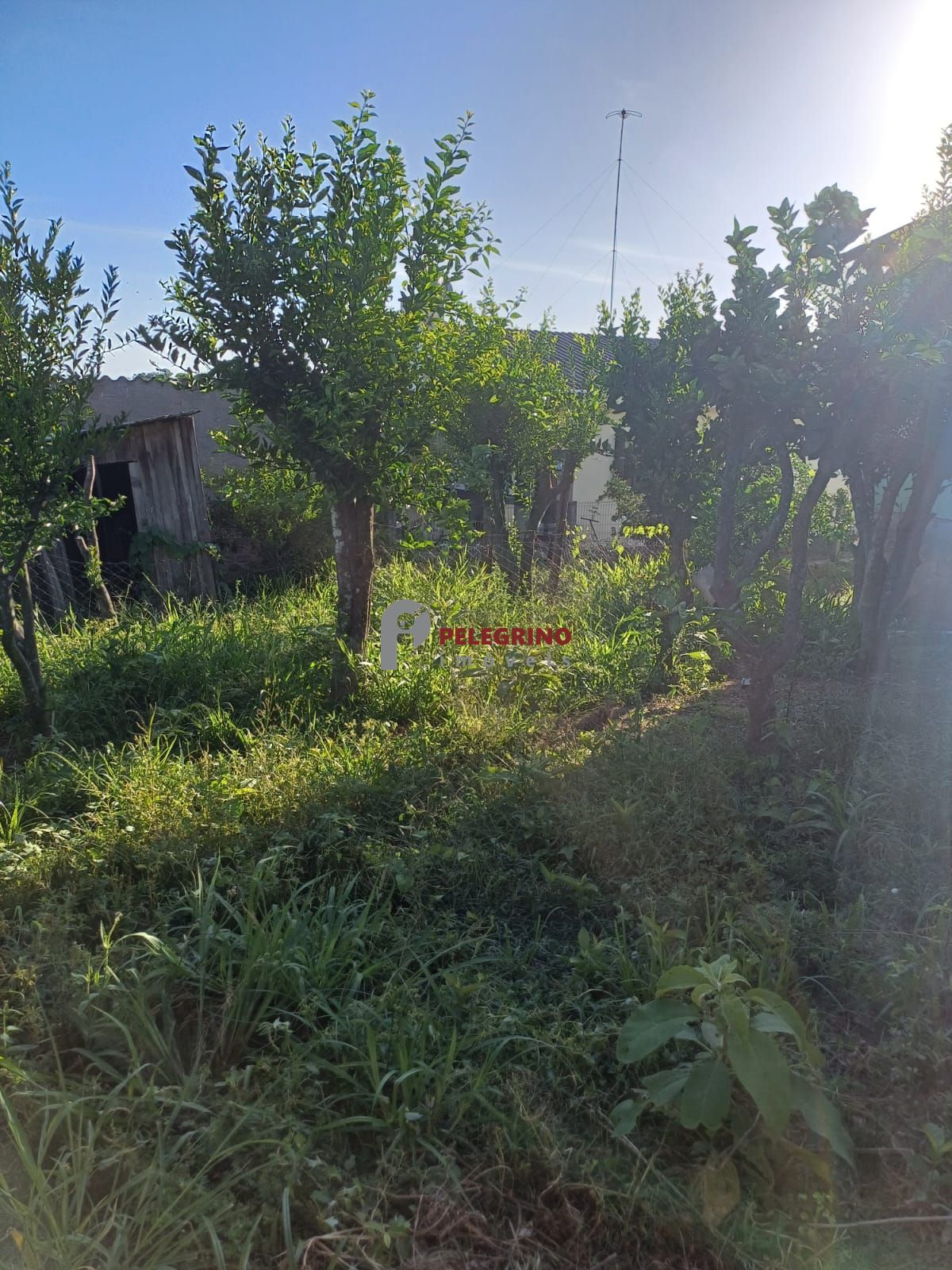 Pelegrino Imóveis vende casa na esquina de Tapes