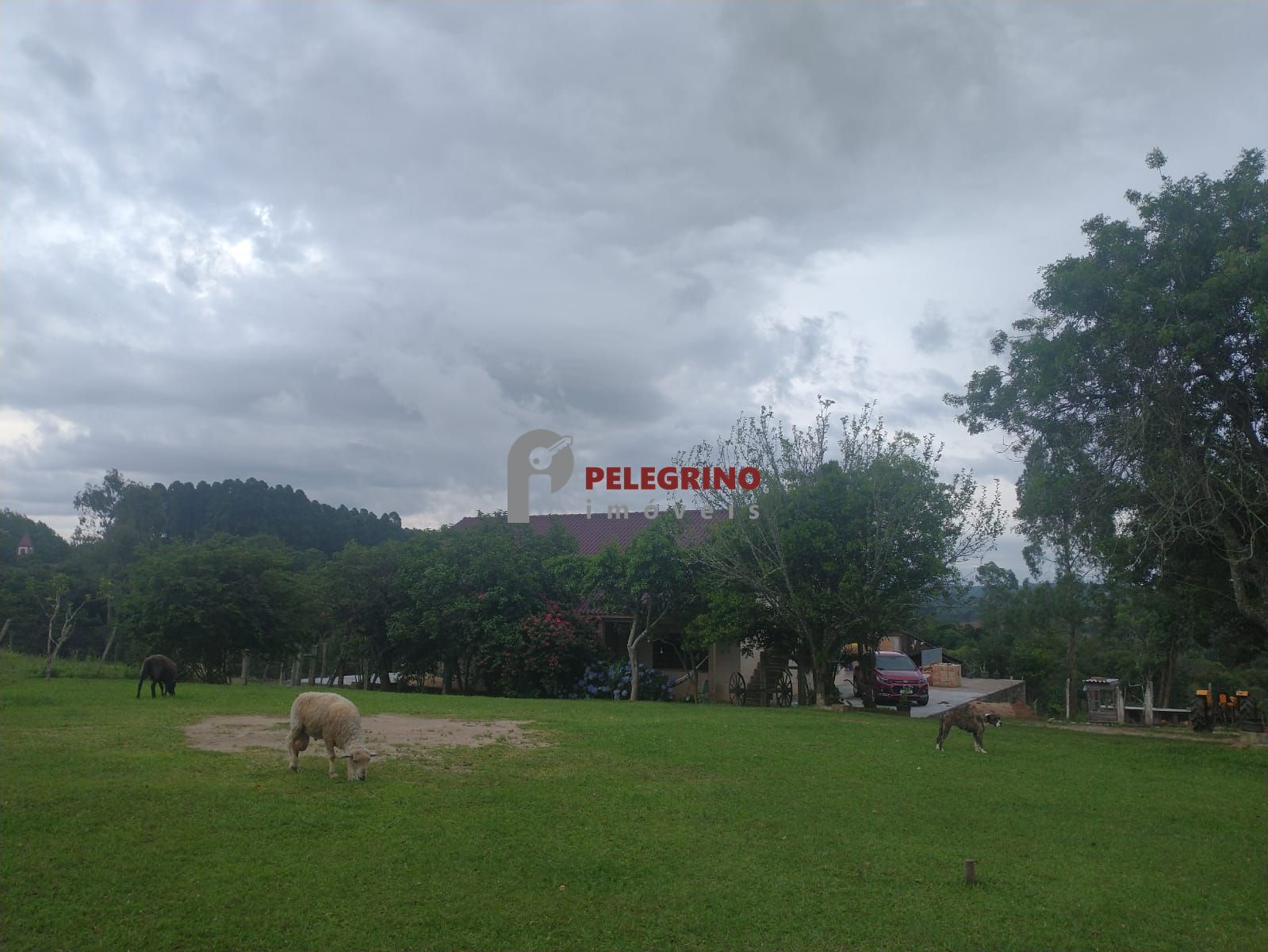 Pelegrino Imóveis vende chácara em Sentinela do Sul