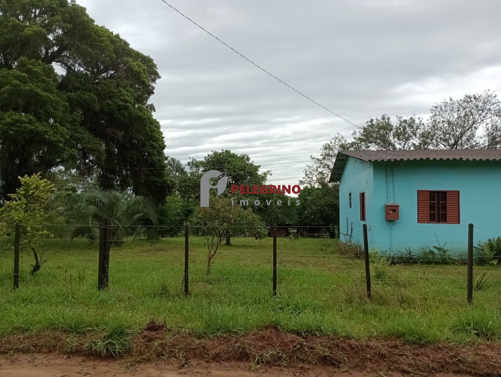 Pelegrino imóveis vende sitio em sentinela do sul