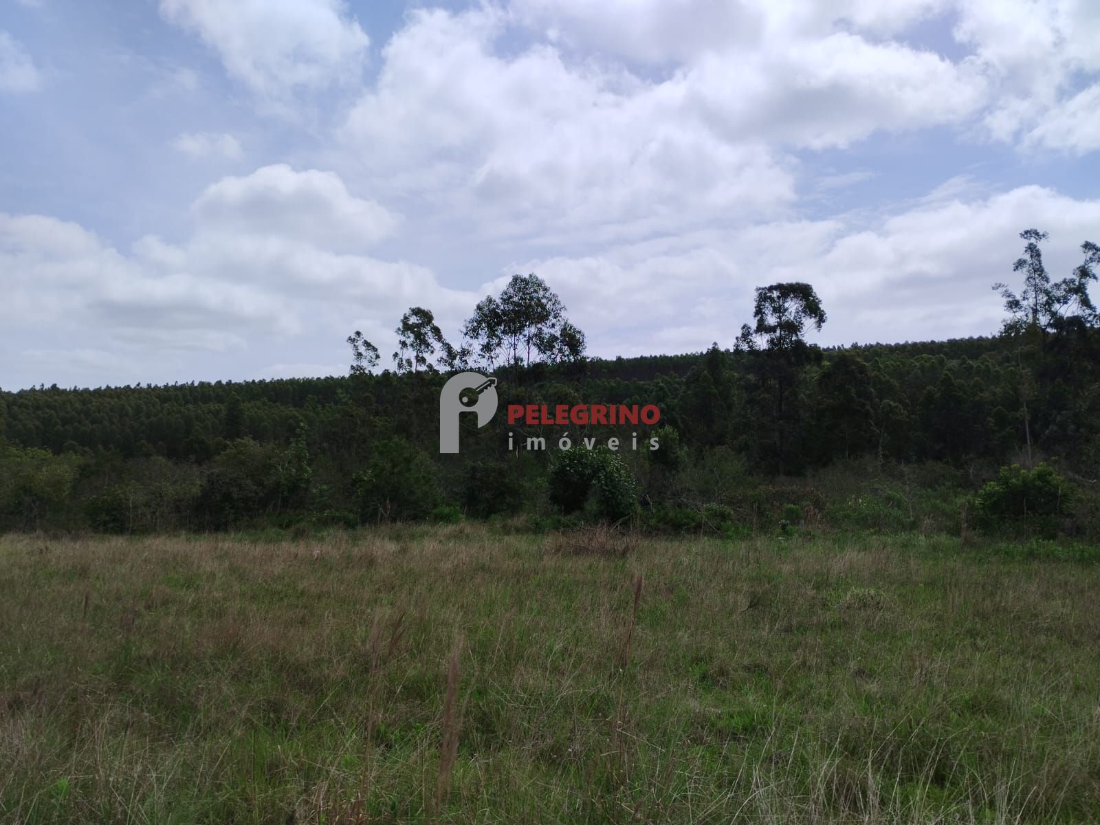 Pelegrino Imóveis vende Chácara em Tapes