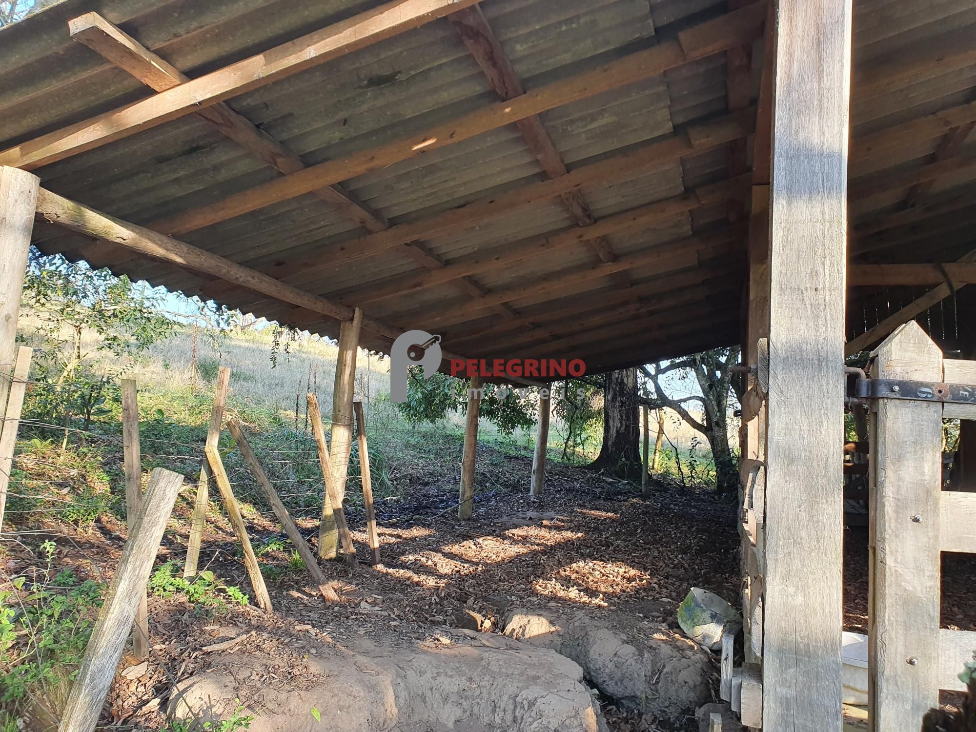 Pelegrino Imóveis vende chacára na BR 116