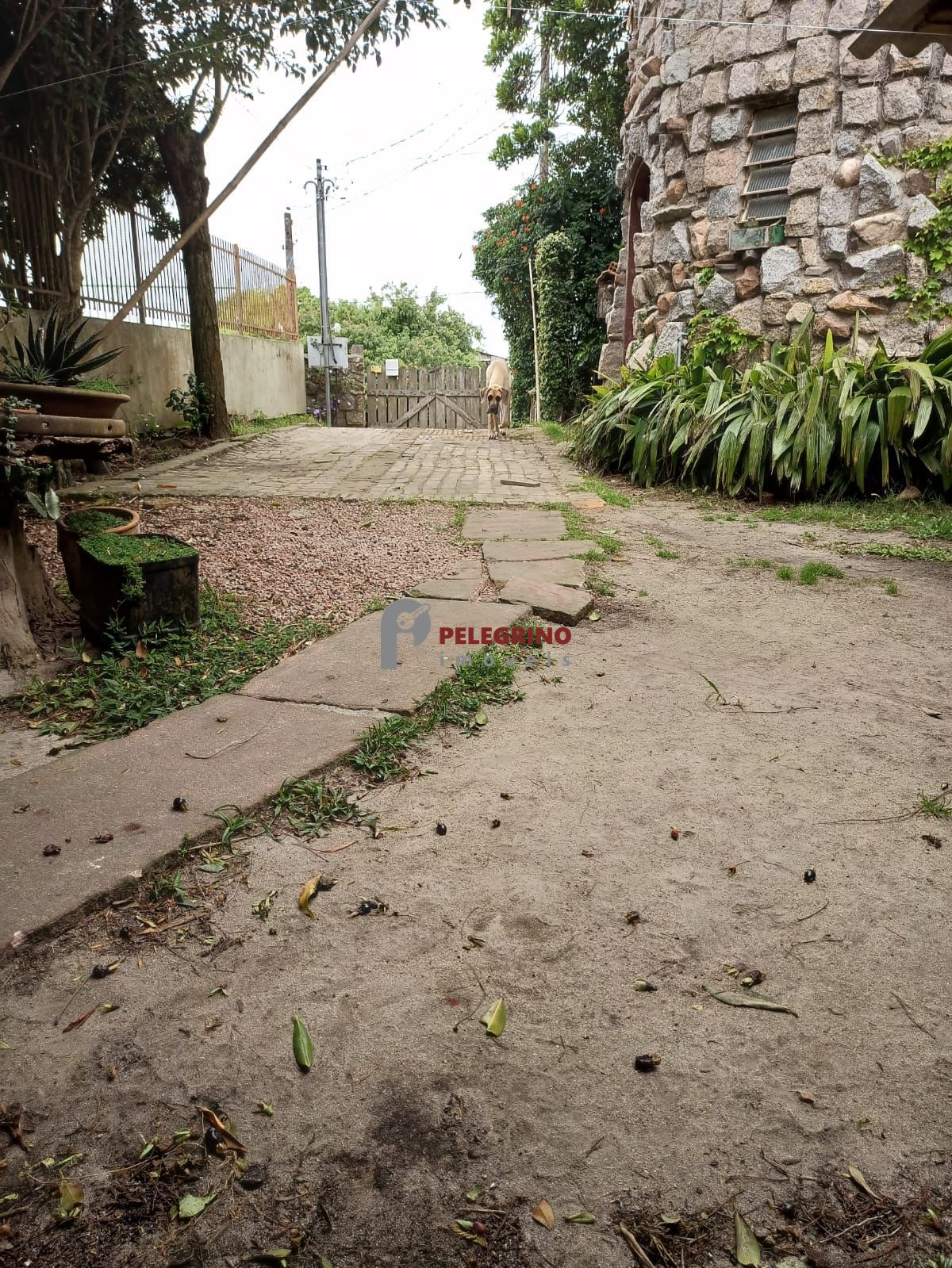 Pelegrino Imóveis vende casa no centro