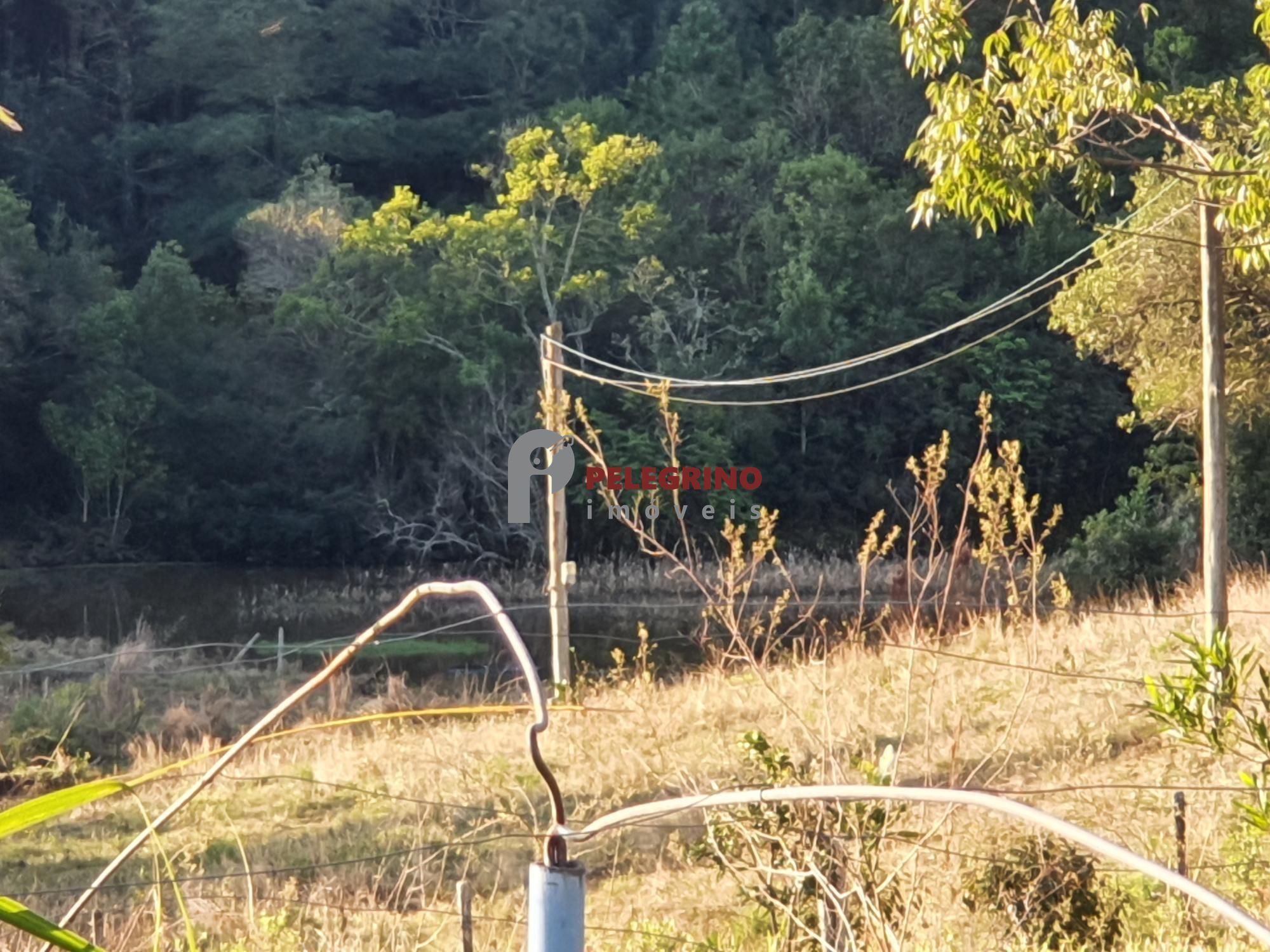 Pelegrino Imóveis vende chacára na BR 116